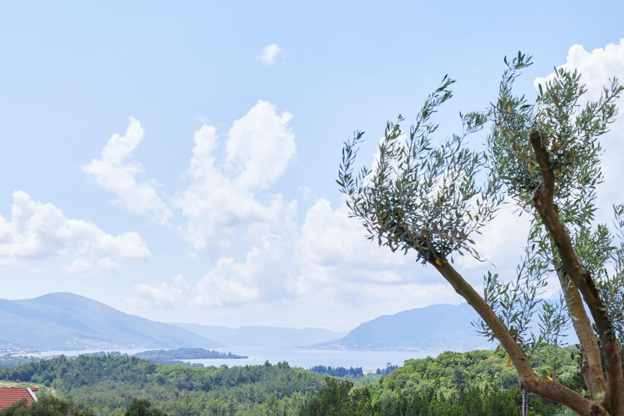 Kotor Rooftop Apartments ภายนอก รูปภาพ
